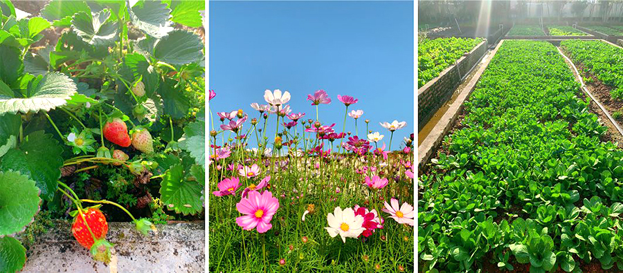 3133cc拉斯维加斯·(中国游)官方网站